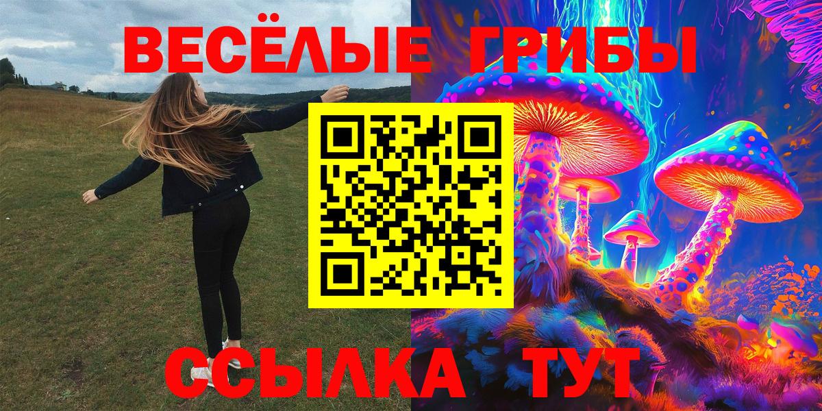 Псилоцибиновые грибы Cubensis Новоалександровск
